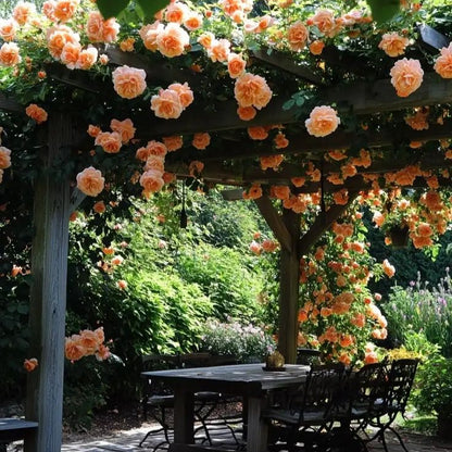 Elegant Climbing Rose Flower Seeds